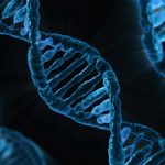 genes