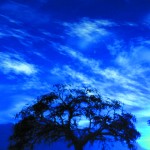 LOS SECRETOS DE LA LUNA