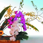 IKEBANA