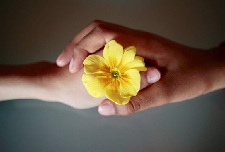 Confianza