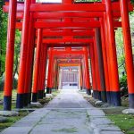 Nueva Acrópolis - Shinto